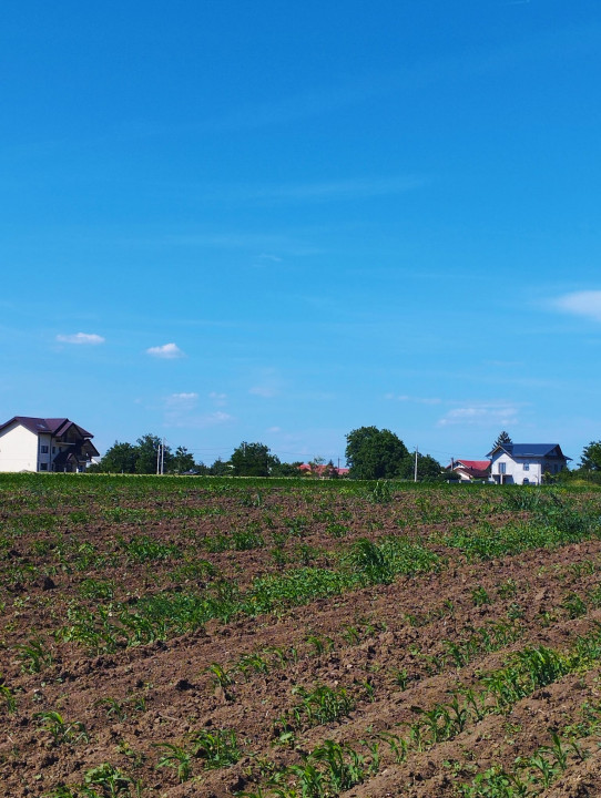 MEGA OCAZIE SE VINDE TEREN 10.600 DE METRI LA PRET DE 6.600 CU DESCHIDRE LA LAC