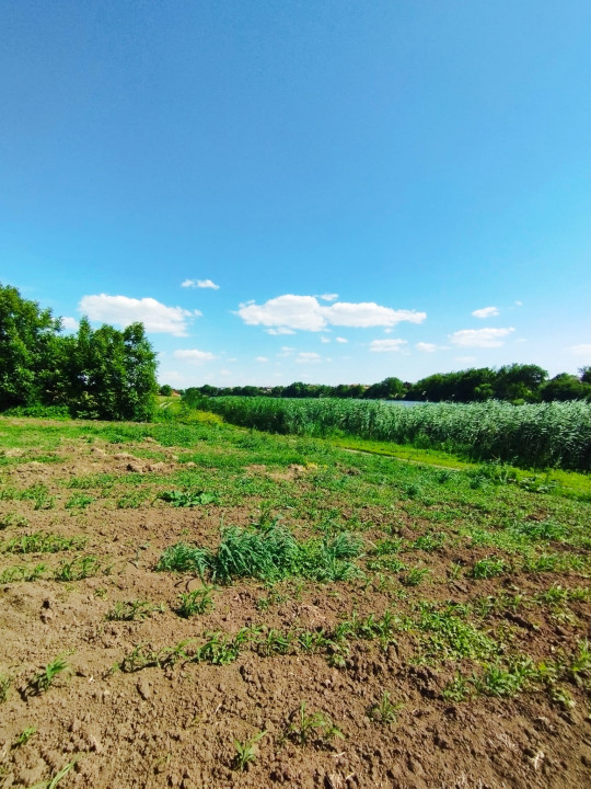 MEGA OCAZIE SE VINDE TEREN 10.600 DE METRI LA PRET DE 6.600 CU DESCHIDRE LA LAC