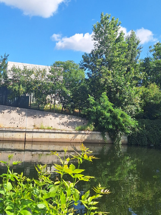 MEGA OCAZIE SE VINDE TEREN CU DESCHIDERE LA LACUL FUNDENI