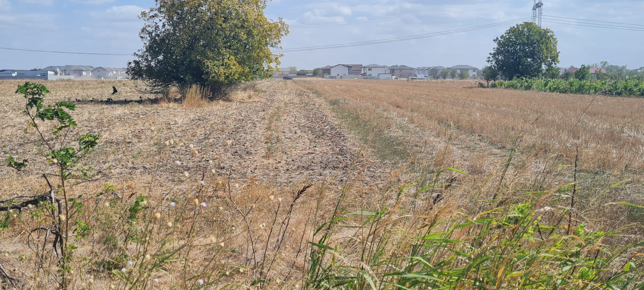 Teren investitie Berceni