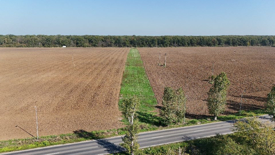 Teren de Vânzare – Între Ganeasa și Cozieni